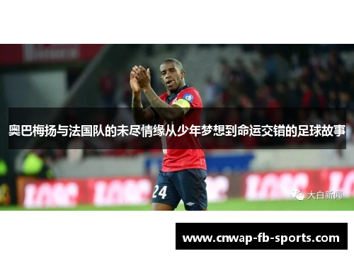 奥巴梅扬与法国队的未尽情缘从少年梦想到命运交错的足球故事 奥巴梅扬与法国队的未尽情缘从少年梦想到命运交错的足球故事