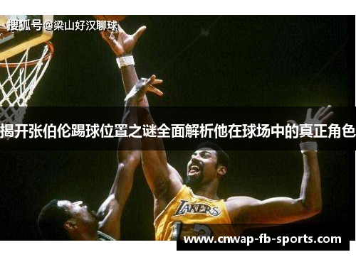 揭开张伯伦踢球位置之谜全面解析他在球场中的真正角色 揭开张伯伦踢球位置之谜全面解析他在球场中的真正角色