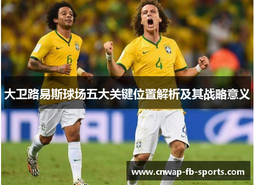 大卫路易斯球场五大关键位置解析及其战略意义 大卫路易斯球场五大关键位置解析及其战略意义