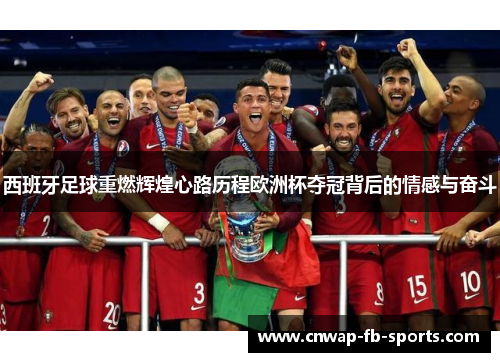 西班牙足球重燃辉煌心路历程欧洲杯夺冠背后的情感与奋斗