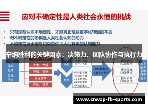 辛纳胜利的关键因素:决策力、团队协作与执行力 辛纳胜利的关键因素:决策力、团队协作与执行力